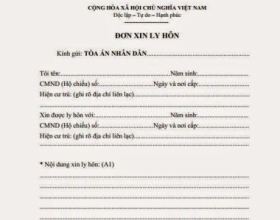 ĐƠN XIN LY HÔN