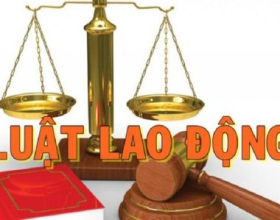 Tư Vấn Luật Lao Động