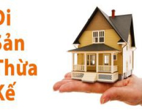 Tư vấn thừa kế thế vị