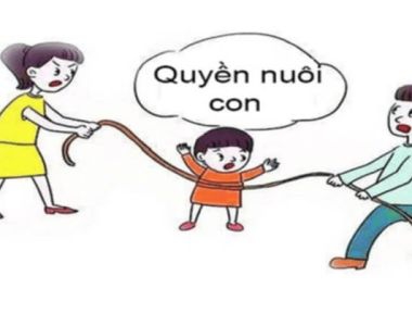 Chia Tài Sản - Quyền Nuôi Con