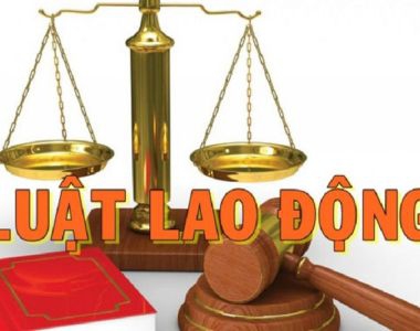 Tư Vấn Luật Lao Động