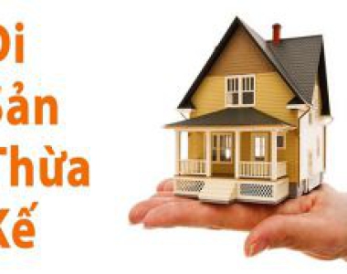 Tư vấn thừa kế thế vị