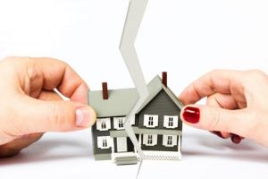 LUẬT SƯ VÕ TẤN ĐẠT