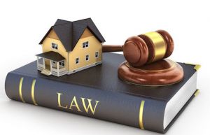 LUẬT SƯ VÕ TẤN ĐẠT